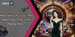 Kèo Tài Xỉu 4.5 là gì