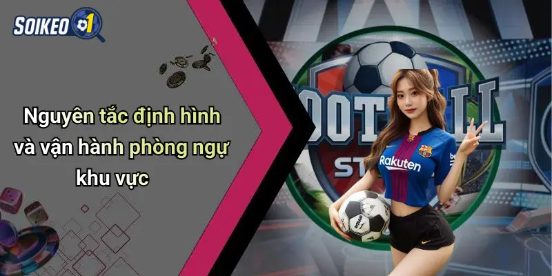 Nguyên tắc định hình và vận hành phòng ngự khu vực