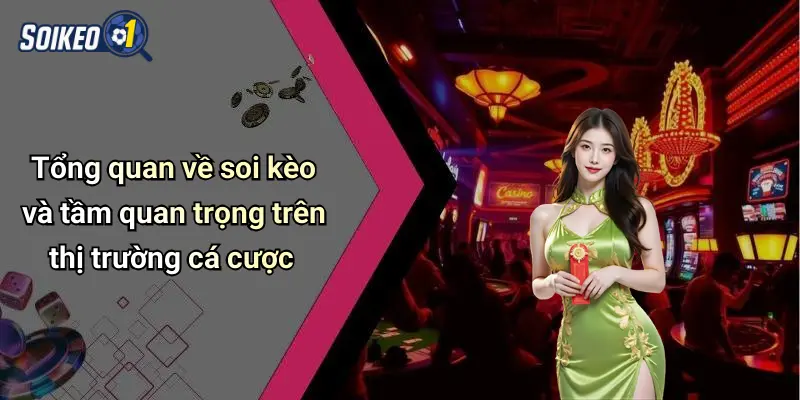Tổng quan về soi kèo và tầm quan trọng trên thị trường cá cược