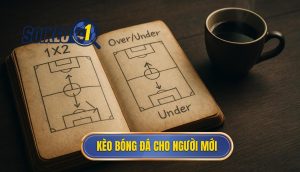 thumb - kèo bóng đá cho người mới