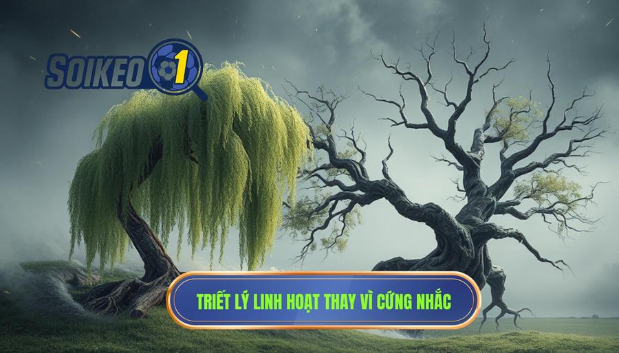 Triết lý cốt lõi: Sự linh hoạt thay vì sự cứng nhắc